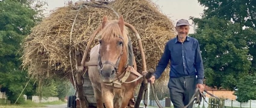 В Минтруда Беларуси рассказали, где больше всего долгожителей