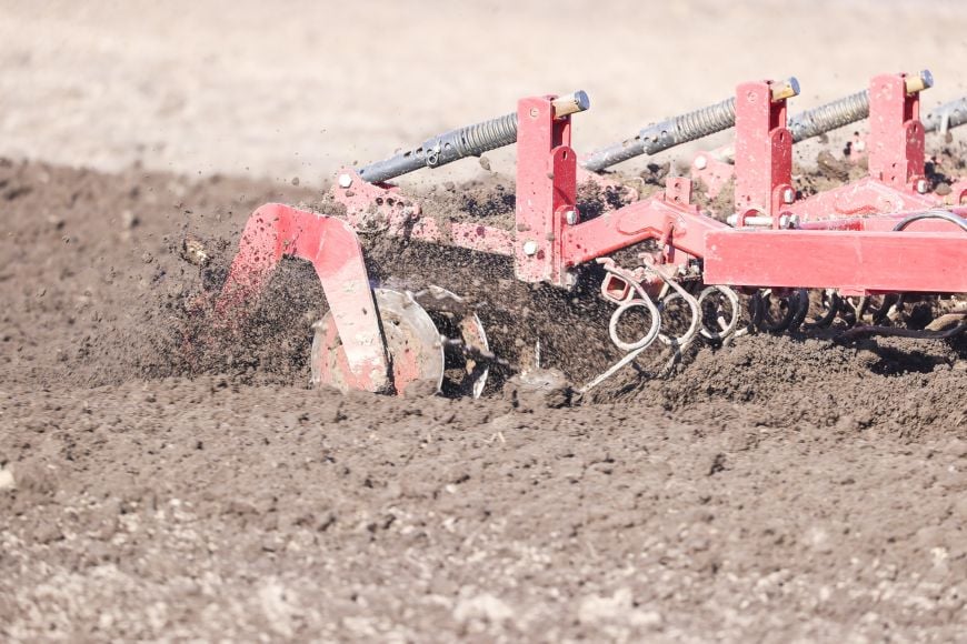 С любовью к земле и людям, или Как в Жабинковском районе женщина руководит целым хозяйством