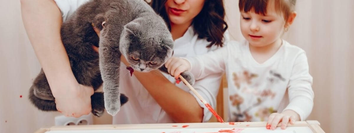 В пятницу в TRINITI в Гродно пройдёт благотворительный мастер-класс «Лапки Поддержки» — помочь бездомным животным могут все желающие