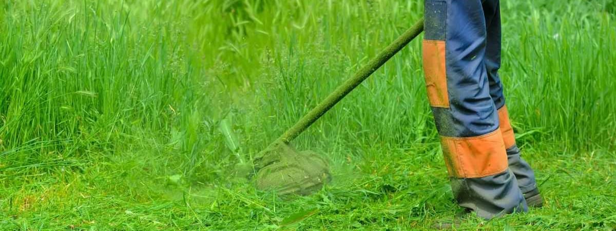 Когда косить траву после зимы? Эти дни и температура гарантируют красивый газон летом — Полезно