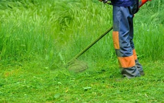 Когда косить траву после зимы? Эти дни и температура гарантируют красивый газон летом — Полезно