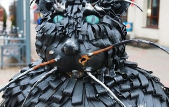 Появилось видео, как отрывали усы коту Бегемоту в Барановичах