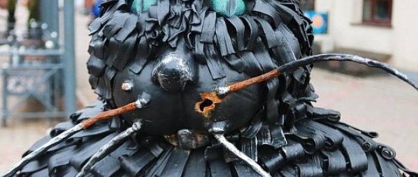 Появилось видео, как отрывали усы коту Бегемоту в Барановичах