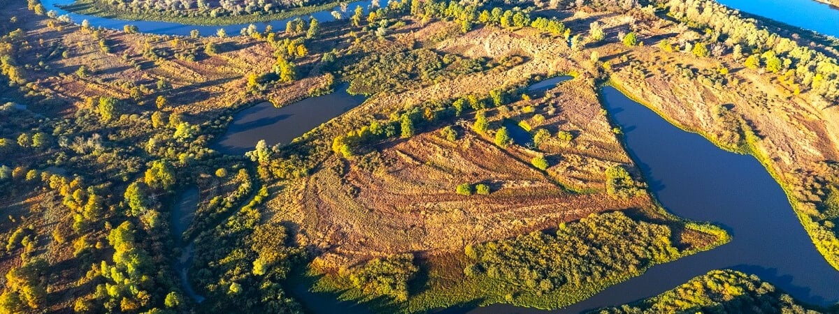 Совмин решил выделить 6,87 млрд рублей на развитие Припятского Полесья