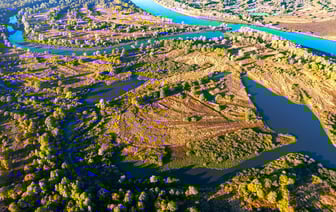 Совмин решил выделить 6,87 млрд рублей на развитие Припятского Полесья