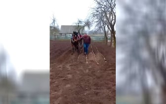 «Пускай развлекаются…» На Минщине 31 января посадили картошку. Что посоветовали пользователи TikTok? — Видео