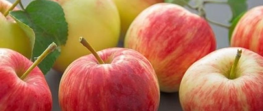 С 1 января импортные яблоки и морковь освободят в Беларуси от пошлины