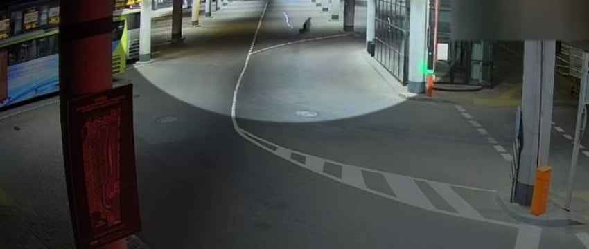 У минчан на автовокзале украли багаж стоимостью 2 тысячи рублей