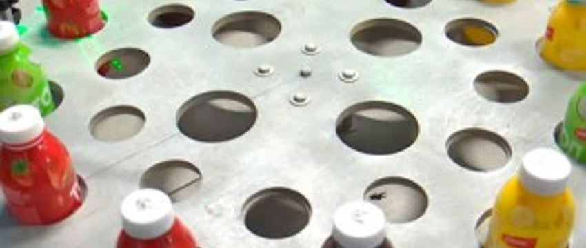 Подделать невозможно! Уникальную маркировку товаров разработали в Бресте