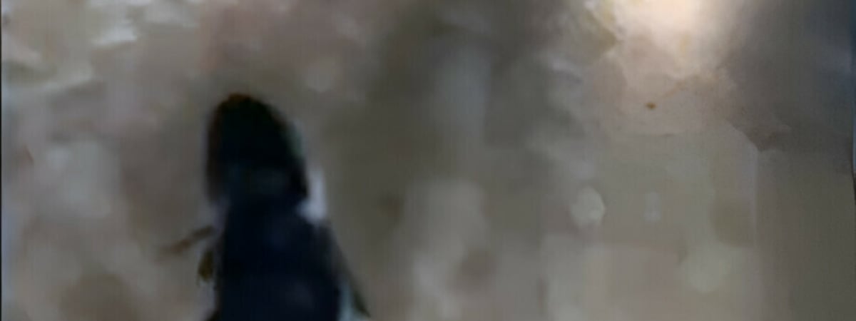 Подростки в Белыничах проехались на крыше «Жигулей». И сами себя сдали — Видео