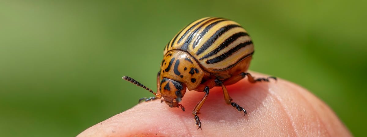 В Украине изменили требования к молочной продукции в соответствии с законодательством ЕС