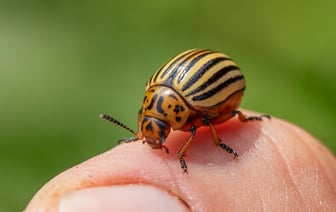 В Украине изменили требования к молочной продукции в соответствии с законодательством ЕС