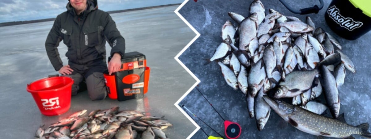 Как ловить леща и плотву на льду? Опытный рыбак поделился тактикой, которая не оставит без улова — Полезно