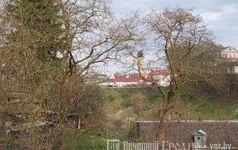Зимы осталось на два дня? Погода в Гродно на выходные