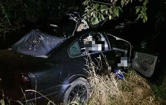 Под Витебском из-за столкновения машины с лосем погиб 12-летний мальчик — Фото