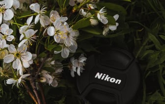 Силовики задержали женщину и заставили ее целовать красно-зеленый флаг