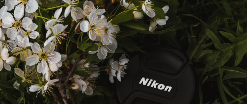 Силовики задержали женщину и заставили ее целовать красно-зеленый флаг