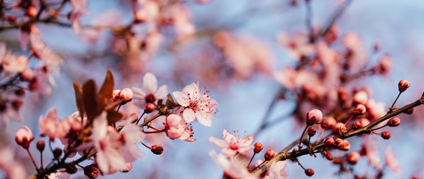 Почти лето: в последние выходные марта в Полоцке и Новополоцке было по-настоящему тепло