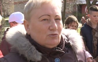 В Бресте соседи поссорились из-за бездомных котов. Вот что произошло