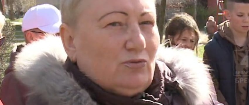 В Бресте соседи поссорились из-за бездомных котов. Вот что произошло