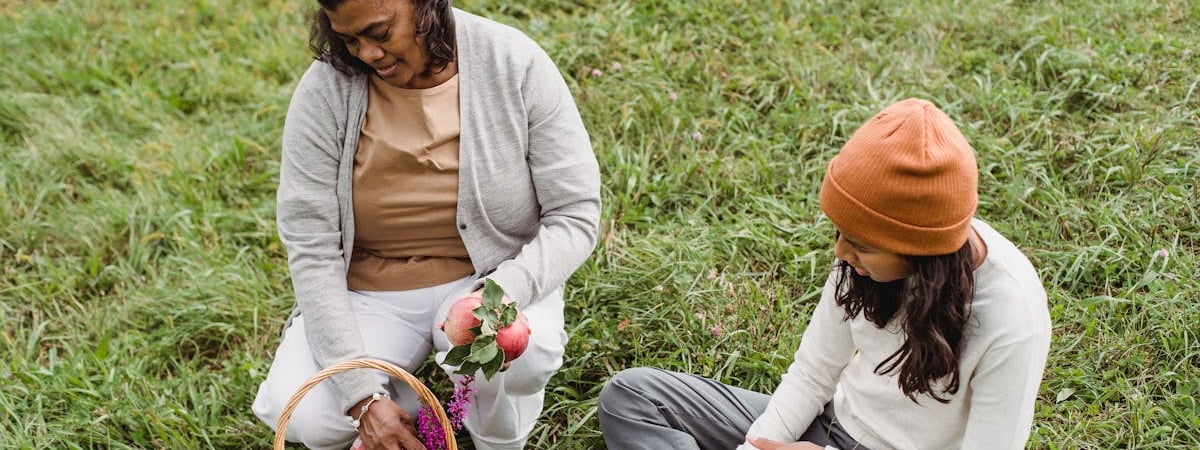 Зачем обматывать ветки фруктовых деревьев фольгой? Вот как этот неочевидный трюк поможет спасти урожай — Полезно