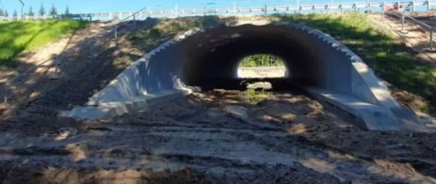 Как в Беларуси выглядит переход для диких животных