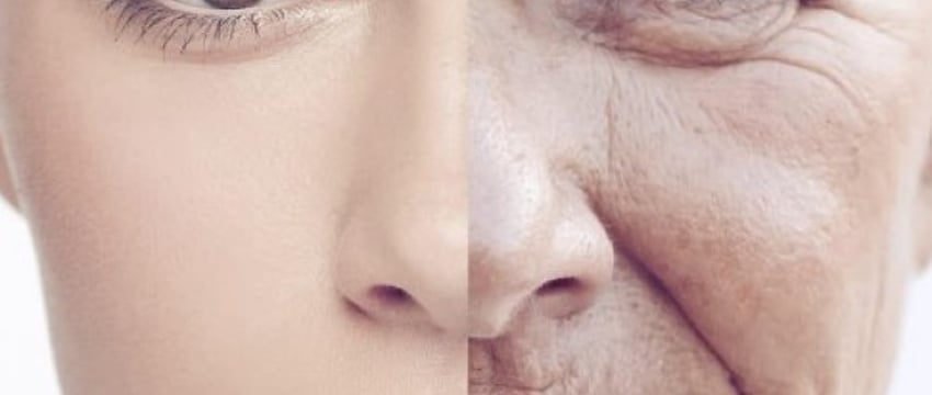 Ученые выявили причину ускоренного старения кожи