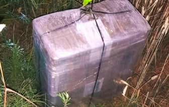 Пограничники Литвы перехватили летевший из Беларуси метеозонд с сигаретами