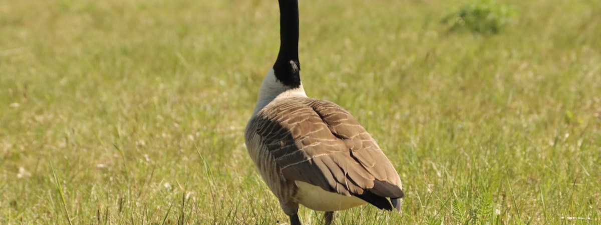 Цена газа на бирже в Европе опускалась ниже $400 впервые с 23 сентября 2024 года