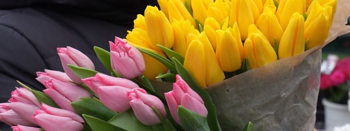 На Комаровском рынке в Минске начали продавать тюльпаны. По какой цене?