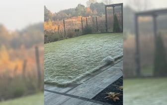 «У меня чуть не случился сердечный приступ» — В Польше сад за одну ночь полностью покрылся паутиной — Видео