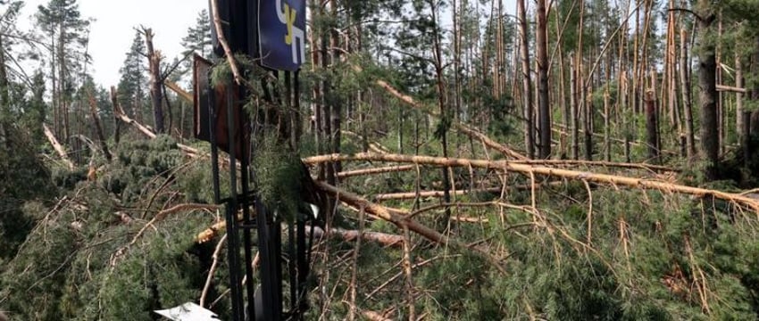 Жителей Гомельской области призвали пока не ходить в лес