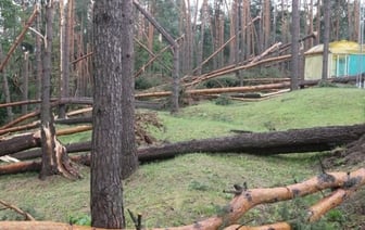 «Все случилось мгновенно». В лагере рассказали о разгуле стихии, приведшей к трагедии