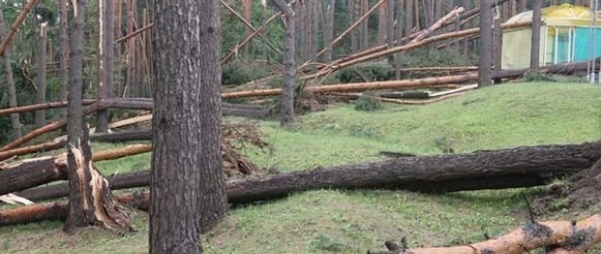 «Все случилось мгновенно». В лагере рассказали о разгуле стихии, приведшей к трагедии