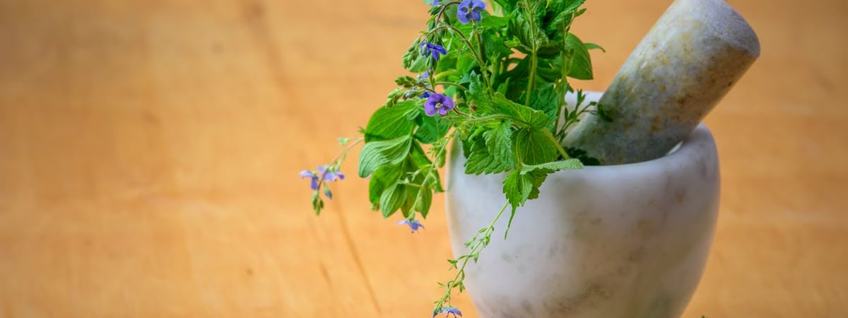 15 неочевидных причин включить петрушку в свой рацион. Сколько можно съедать в день? — Полезно