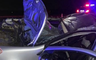 Лось выбежал на дорогу под Оршей - погиб 30-летний водитель