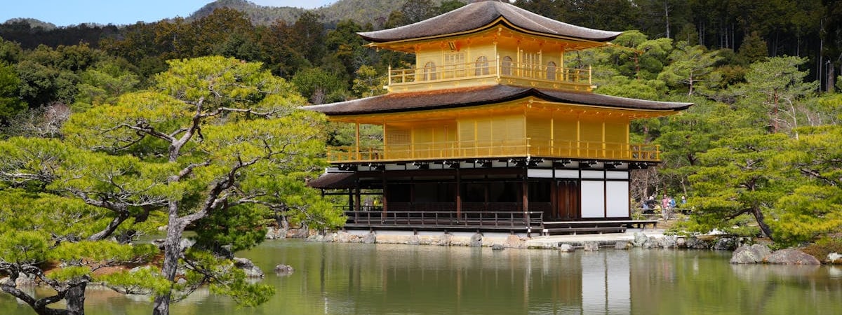 Япония столкнется с нехваткой почти миллиона работников в 2040 году