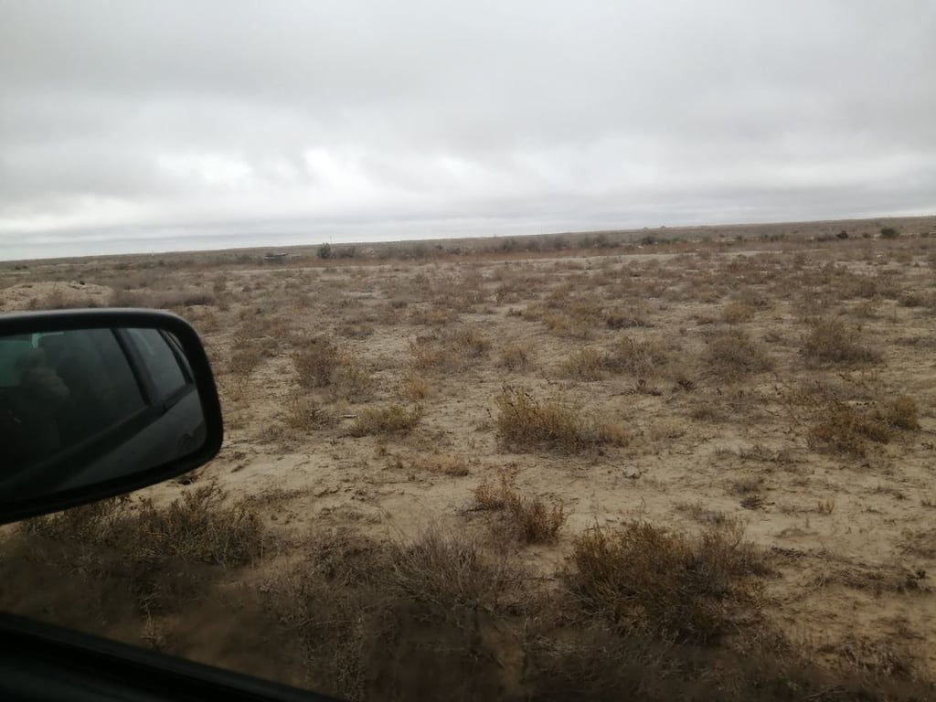 Белорусы посмотрели четыре страны без виз