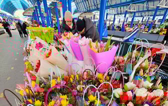 От 2 руб. за ветку. В Минске на Комаровке открылся «Большой цветочный базар». А что в других городах? — Фото