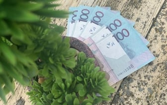 В Беларуси больше половины многодетных потратили семейный капитал досрочно