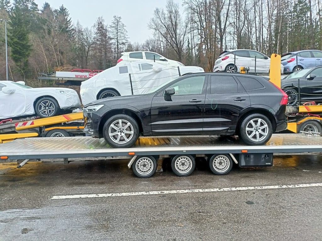 Игроки автобизнеса о ситуации с машинами на границе