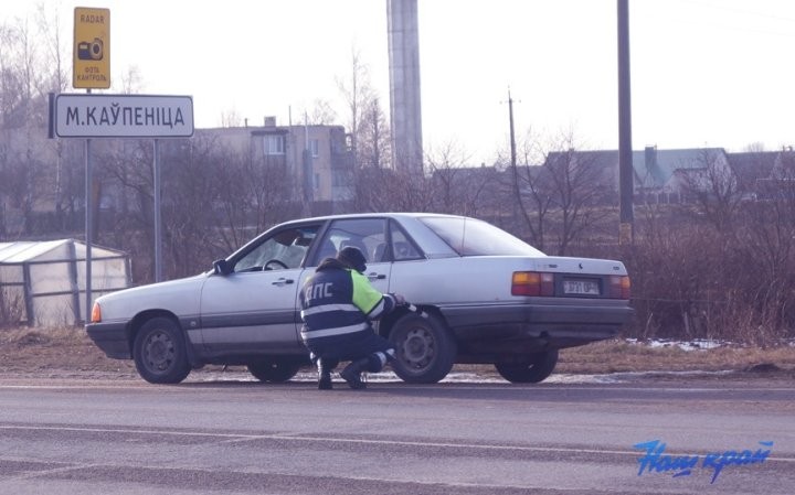 Шины