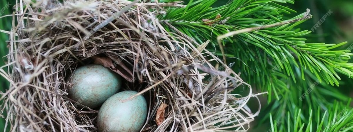 В охране природы Беларуси напомнили важное правило — о чем идет речь