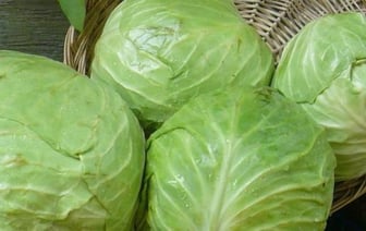 3 продукта могут запретить вывозить из Беларуси
