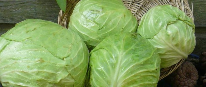 3 продукта могут запретить вывозить из Беларуси