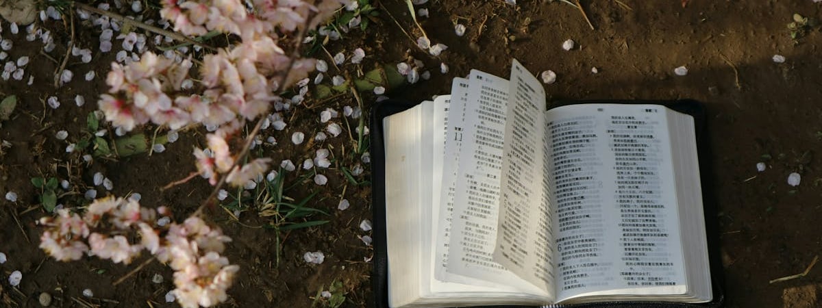 Китай создал первую в мире сеть полевых испытаний для связи 6G