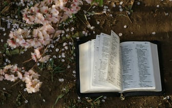 Китай создал первую в мире сеть полевых испытаний для связи 6G