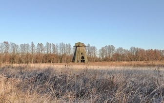 Вооруженные люди попытались пересечь российскую границу в Брянской области