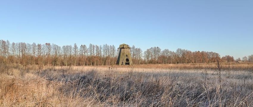 Вооруженные люди попытались пересечь российскую границу в Брянской области