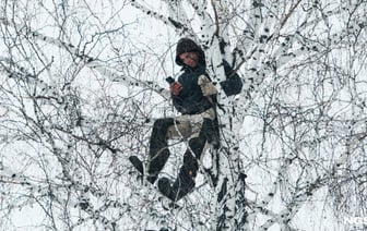 МТС, life:) или А1? В БелГиЭ рассказали, у какого оператора лучшее качество связи в Беларуси